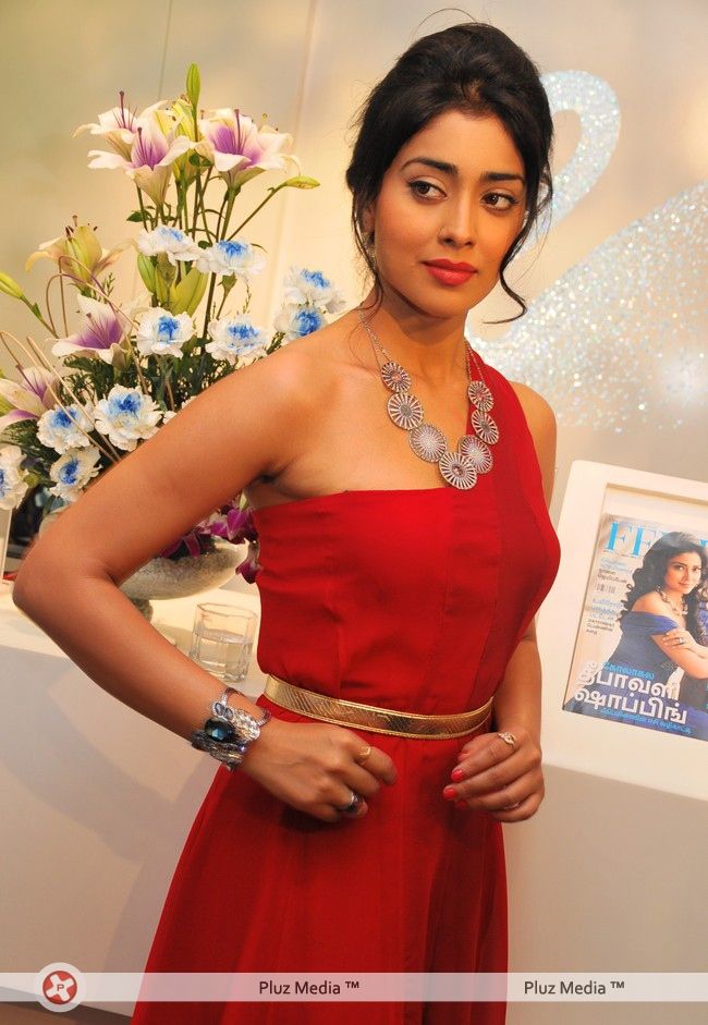 Shriya Saran at Wings of Fantasy Launch - Pictures | Picture 109844